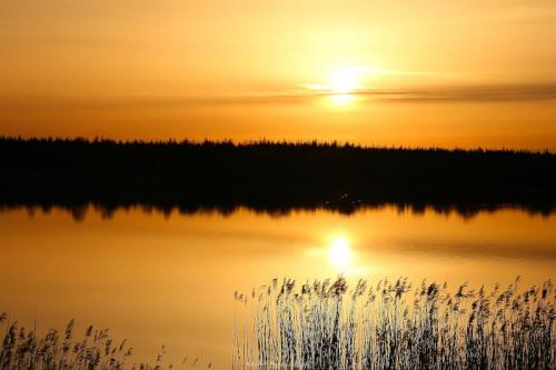 Sunset over Lough Boora